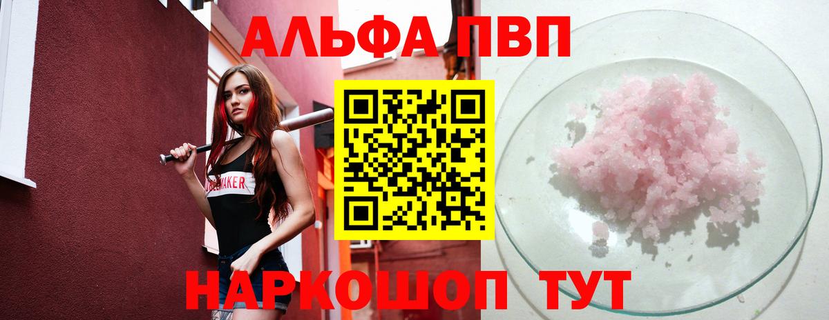 А ПВП СК КРИС  Альфа ПВП крисы CK  где найти   Вход с VPN  Гатчина 