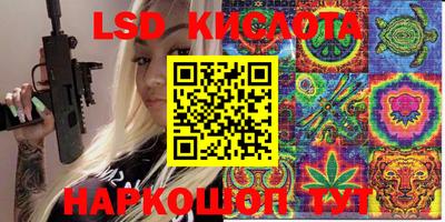 стаф Можга