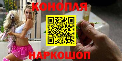 стаф Можга