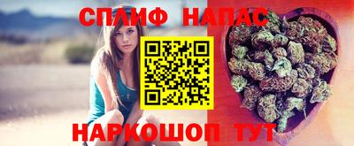 стаф Можга