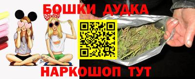 стаф Можга