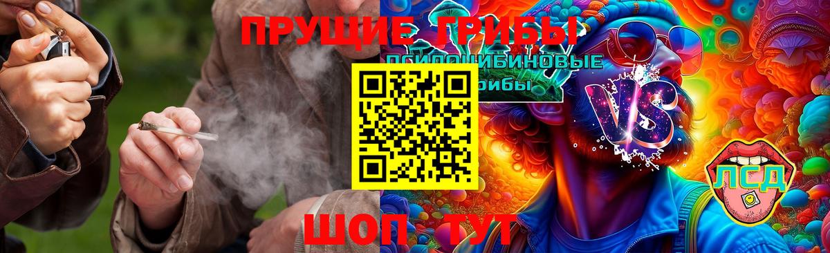 где купить наркоту  Вход с VPN  Галлюциногенные грибы Psilocybe  Гатчина  Галлюциногенные грибы Cubensis 